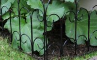 Fencing yard wrought