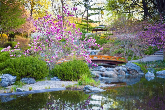 Japanese garden pond zen stepping stones jardin gardens backyard style asian landscape japonais choose board garten bonsai pour